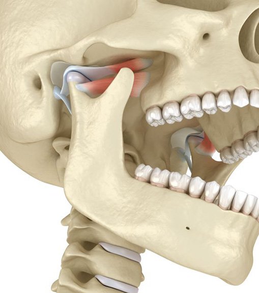 Illustration of human skull, showing TMJ joints